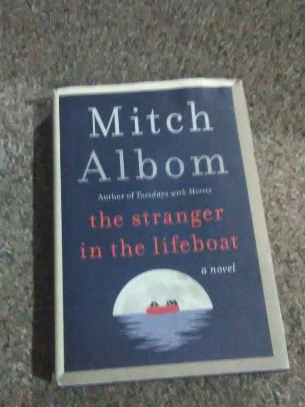 Chapterbook the stranger in the life boat